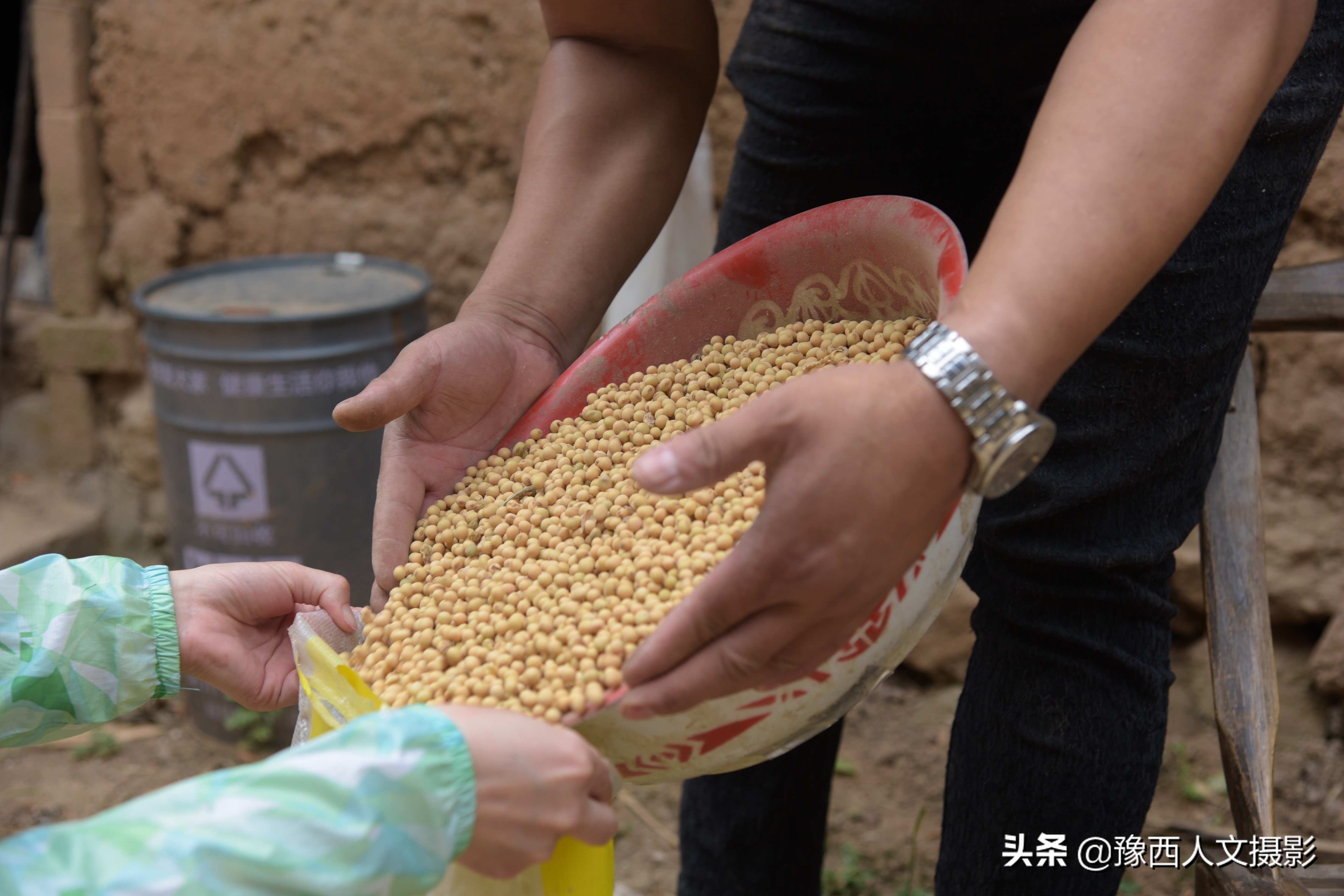 山里父亲10年前为儿子打算,藏一囤小麦两桶黄豆,娶媳妇却没用上
