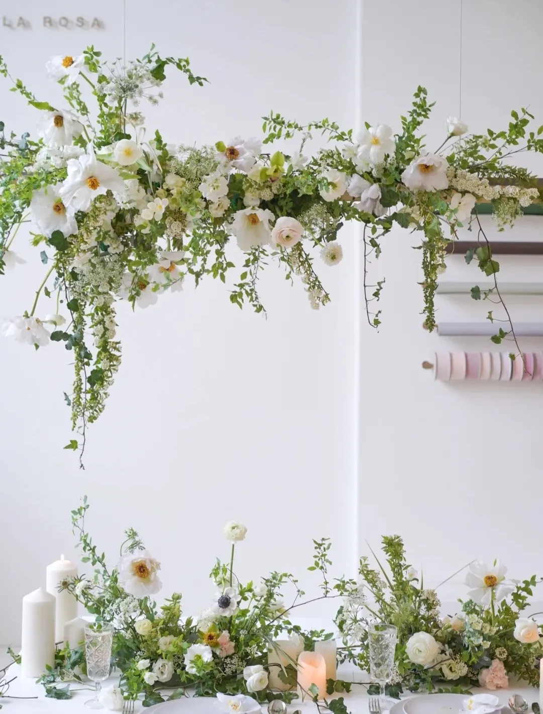 植库‖跟随仙气飘飘的油牡丹，追寻春天的步伐