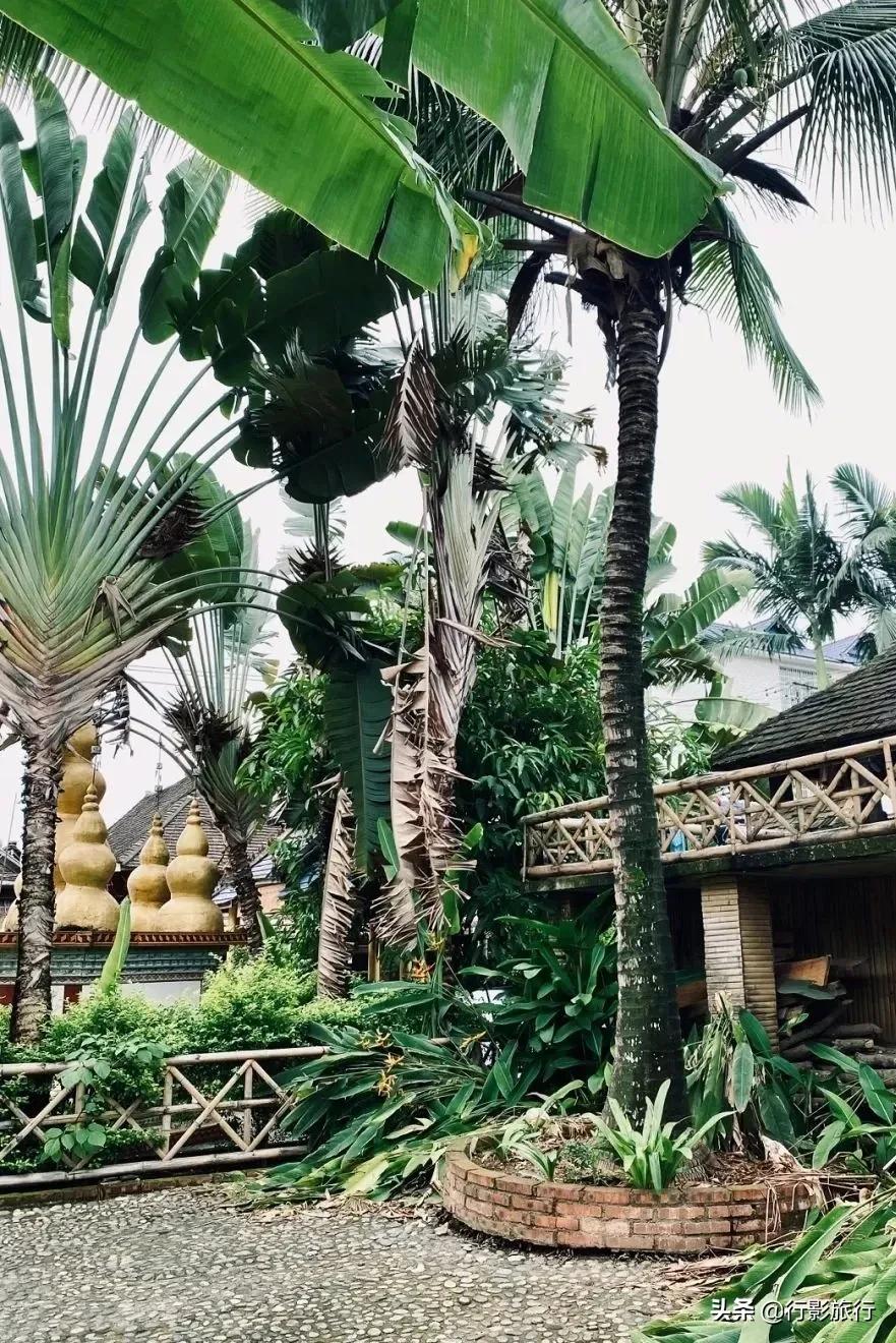 介绍一下云南的西双版纳,云南西双版纳的介绍景点