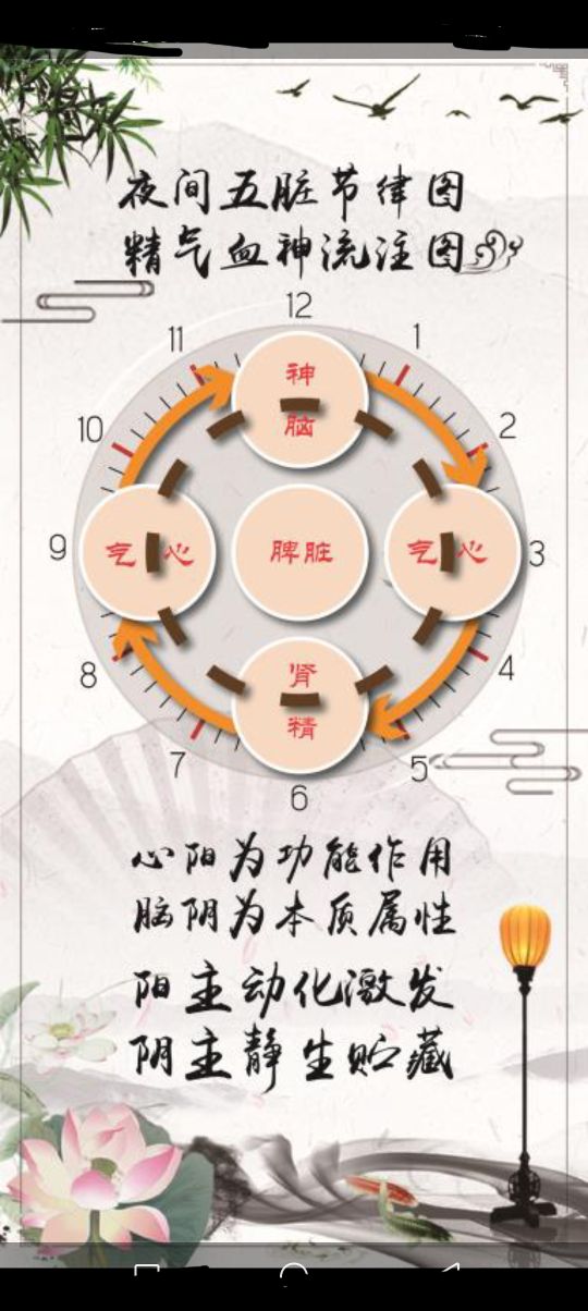 气血两虚总是做梦怎么办,气虚血虚爱做梦