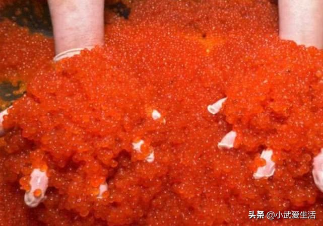 最便宜又好吃的鱼子酱,当地最出名的就是各种鱼子酱