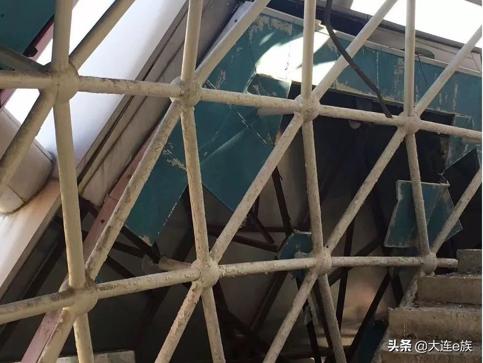 大连泉水大鲸鱼地标,大连将再添一处旅游地标