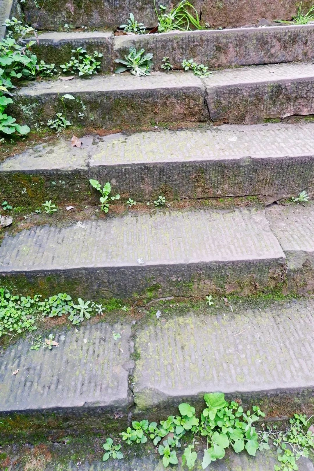 下一站泸州粤语,下一站泸州古蔺