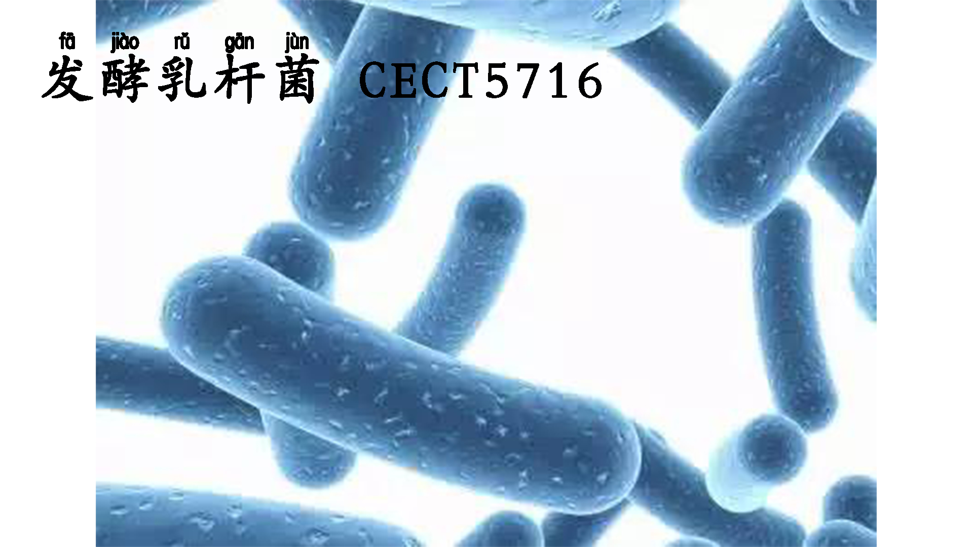 提高免疫力从宝宝抓起,给小孩提高抵抗力和免疫力