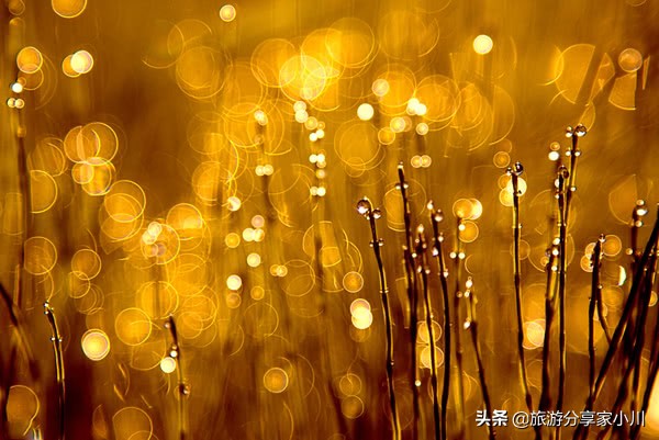 照片不清晰如何搞清晰,照片模糊没有质感怎么办