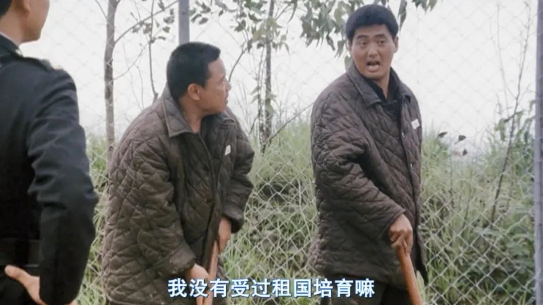 监狱风云2发哥逃狱,监狱风云2发哥是监狱的老油条