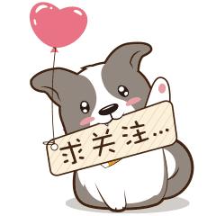 平均月薪6000你拖后腿没,月入5440元的平均工资