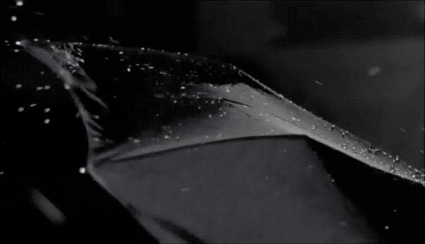 劳斯莱斯一把伞10万元,劳斯莱斯十万元的伞