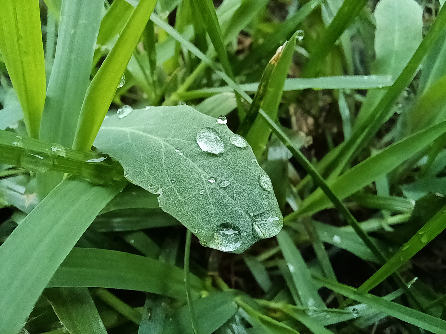 荣耀x20体验优缺点,荣耀x20优点与缺点