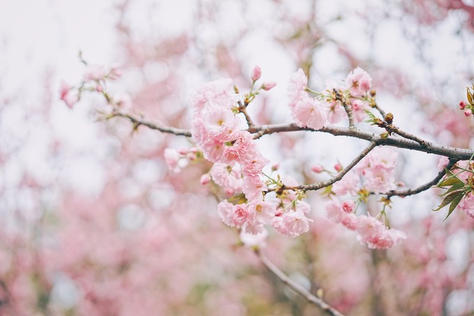 厦门小垦丁游玩攻略,福建小垦丁漳州火山岛