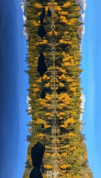 阿勒泰秋天有多美,秋天的新疆阿勒泰太美