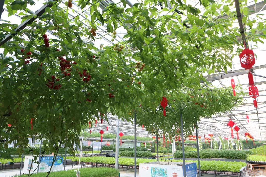 玩转第十八届长春农博会,2019长春冬季农博会票价