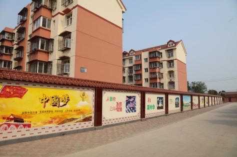 大树下面长草吗,大树底下长草