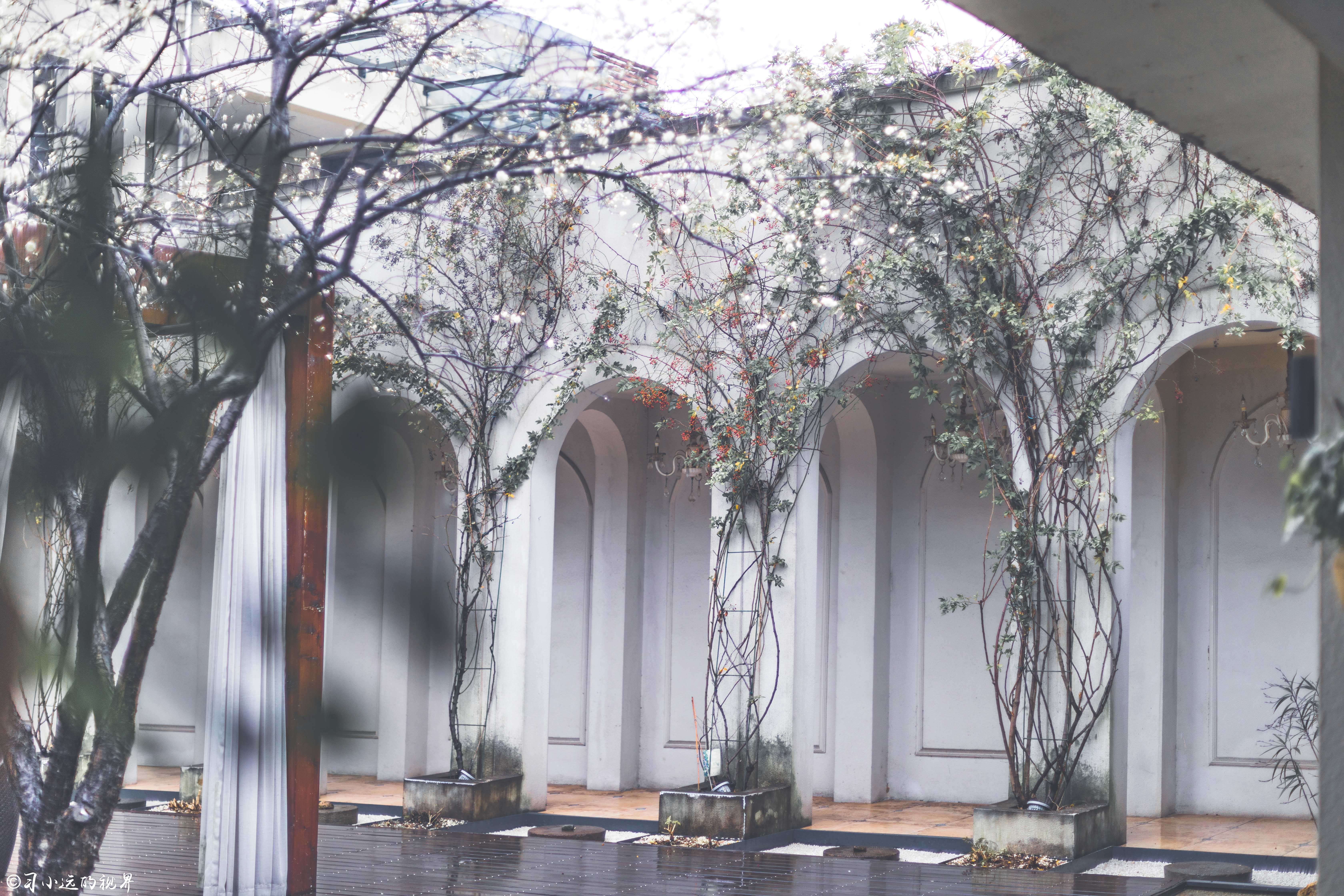 这个藏于梅花深处的幽静山庄，让你抛却繁杂，静享浮光