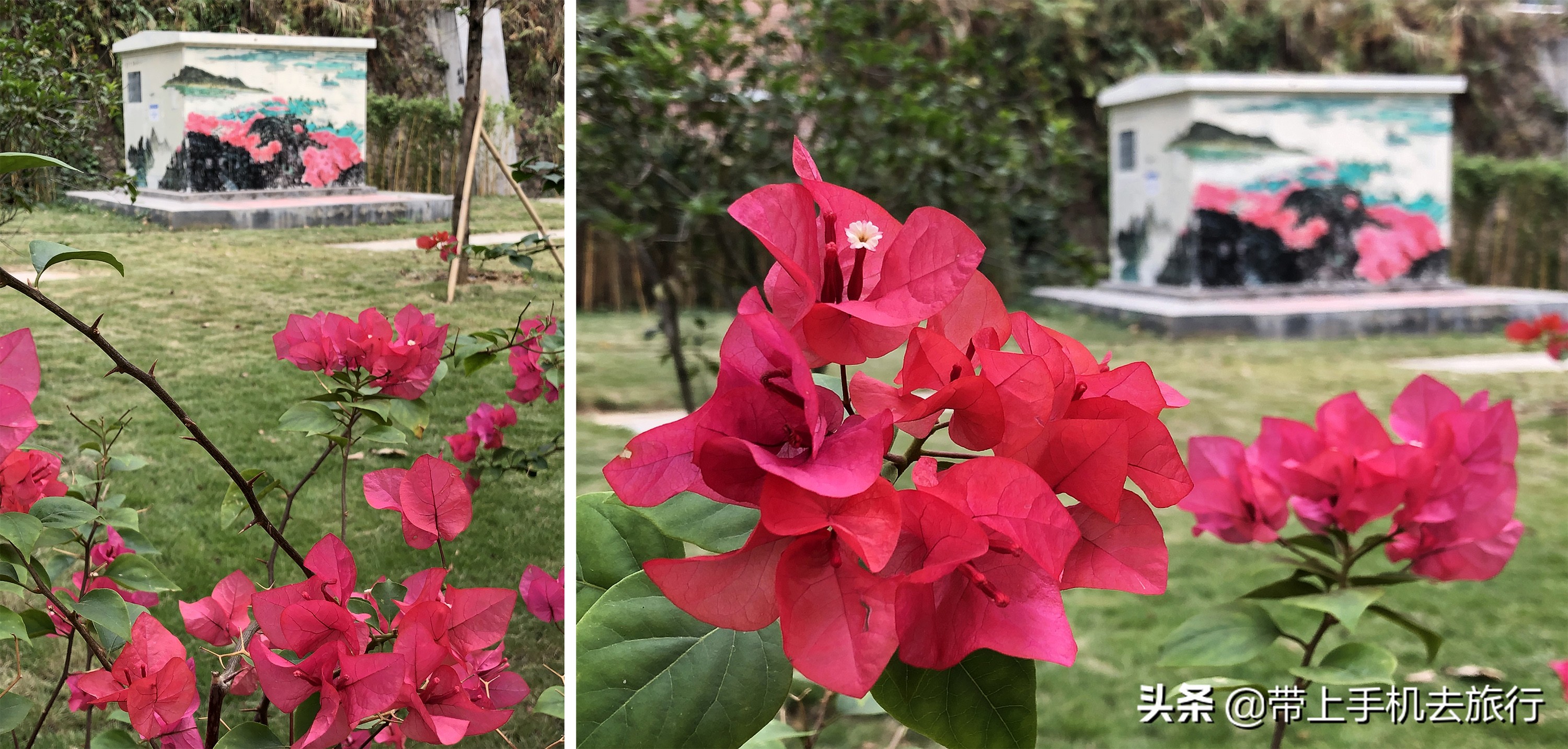 手机拍什么画面好看又清晰,如何让手机拍摄出的画面更够质感