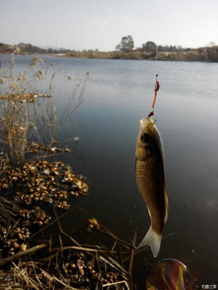沈阳钓鱼野钓,沈阳野钓地址