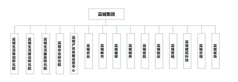 与康养、教育巨头合作，深剖蓝城集团的产业方向和路径