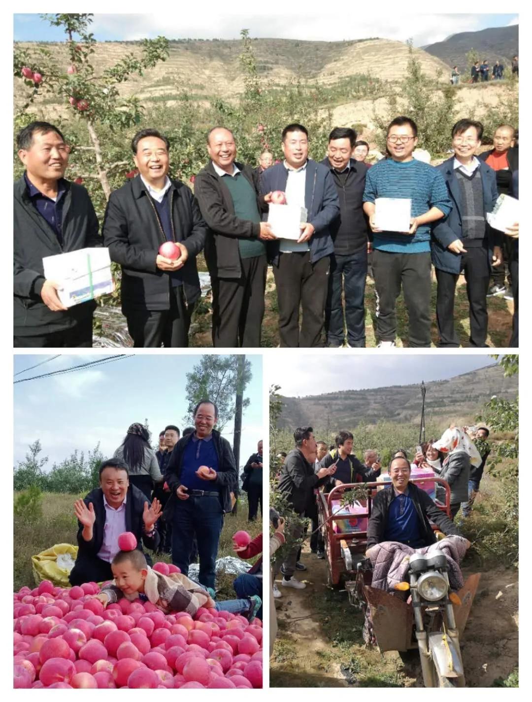 省诗歌创研会武山采风作品集(一)