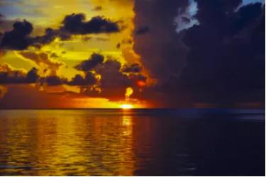 在线教育行业头部企业,重新和好