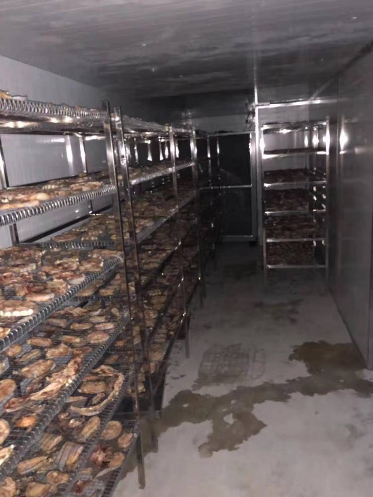 肉类专用烘干机大型,节能肉类烘干机