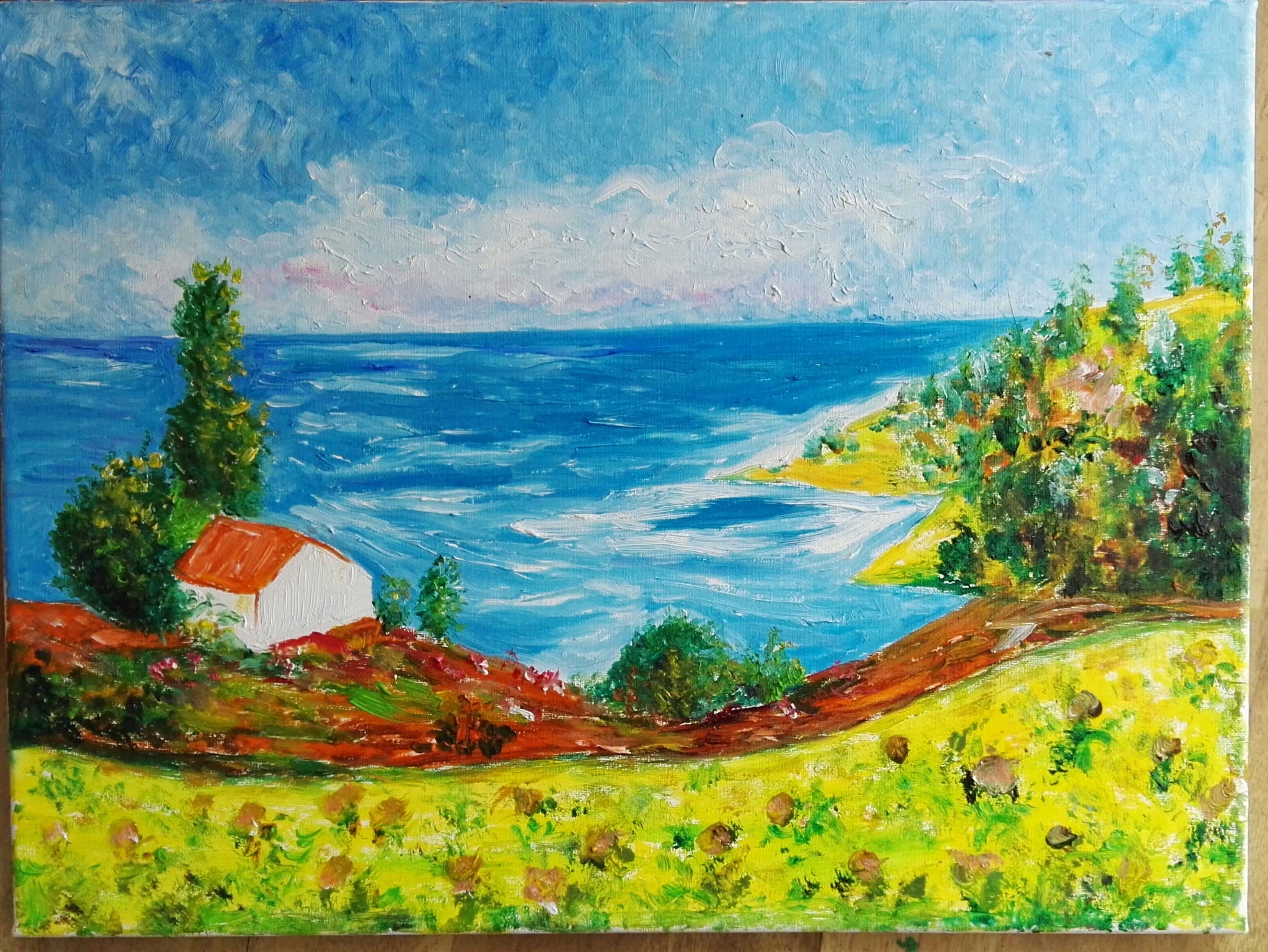 狮子猫小猫咪,狮子猫橘色宠物