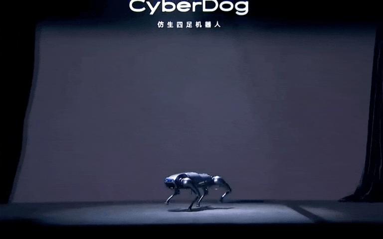 雷军铁蛋视频,雷军小米机器狗