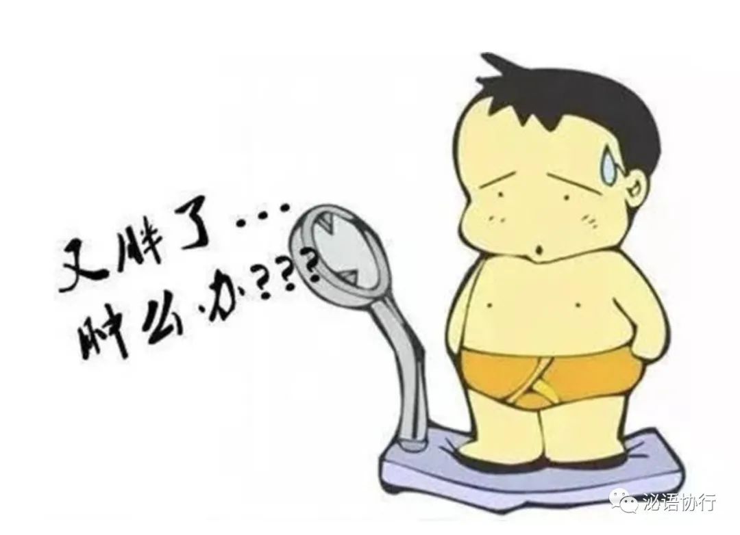 关于脂肪你不得不知道的一些,一分钟深入了解脂肪