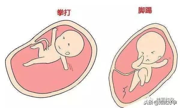 胎动肚子里有动静,胎动教你读懂胎宝宝的语言