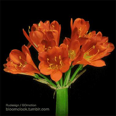 铁道兵战友网络辞旧迎新表彰联欢晚会