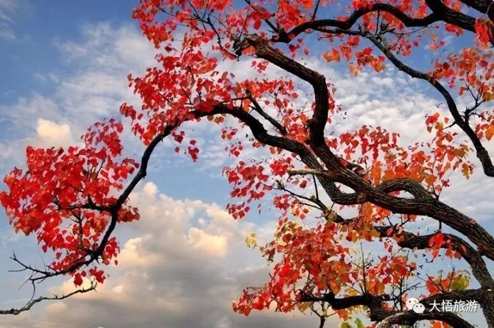 孝感最美的地方,湖北孝感最美风景