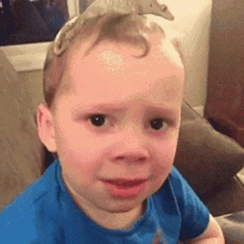 退圈读书、捞快钱、疑似“秃顶”，“表情包”萌娃现状大不同