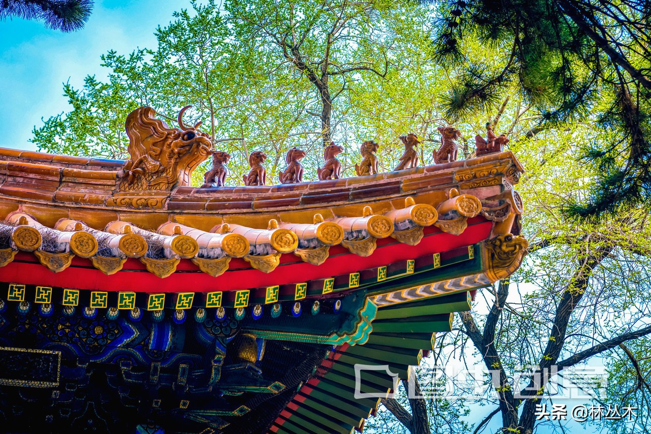 迎春节的诗词34个字,写迎春的诗句名句大全