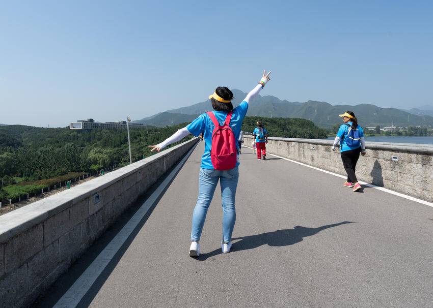 海德力香草奶昔蛋白粉,海德力乳清蛋白巧克力奶昔