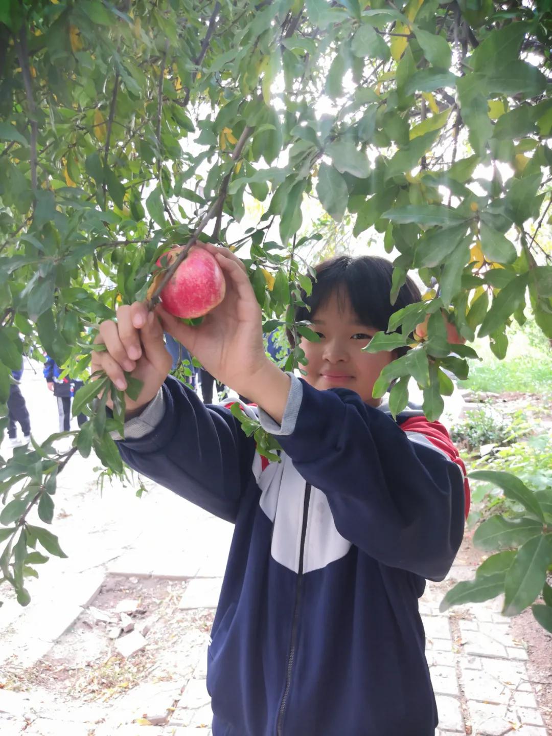 邯郸教育动态,邯郸市教育观察