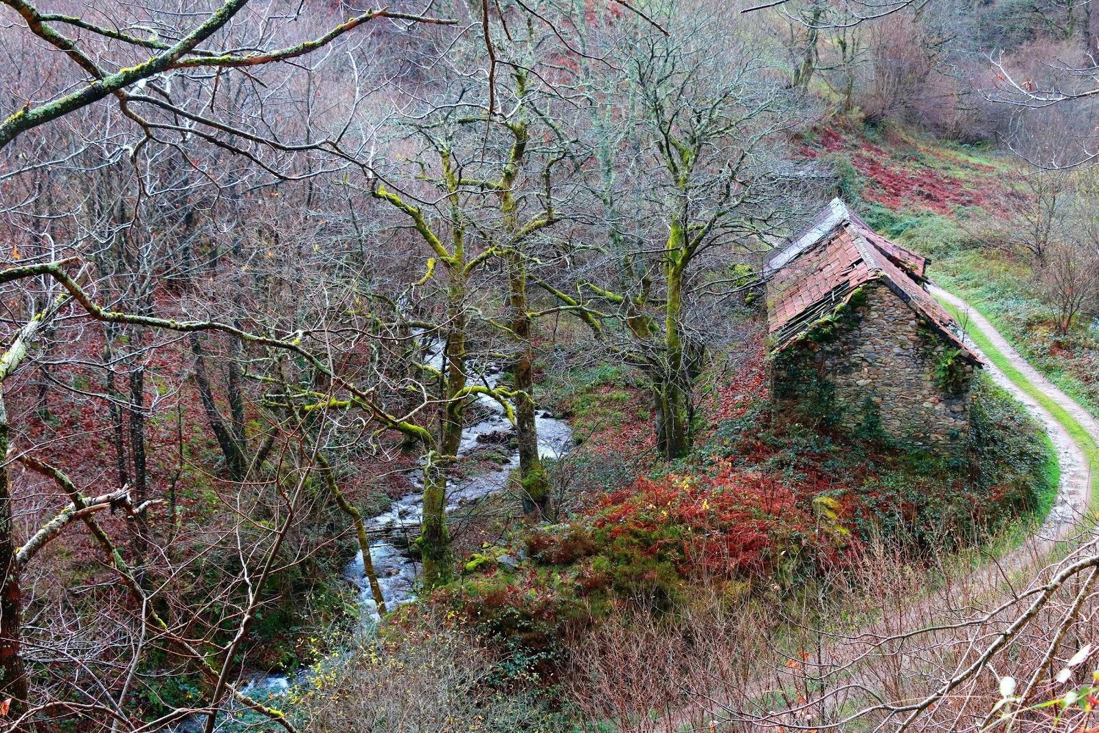 keen登山鞋评测,keen登山鞋2022款