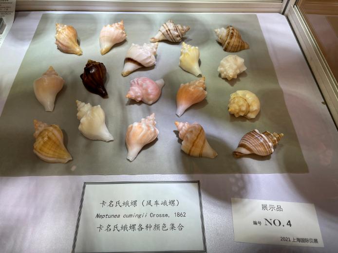 2021年上海国际贝展视频,2022年上海国际贝展