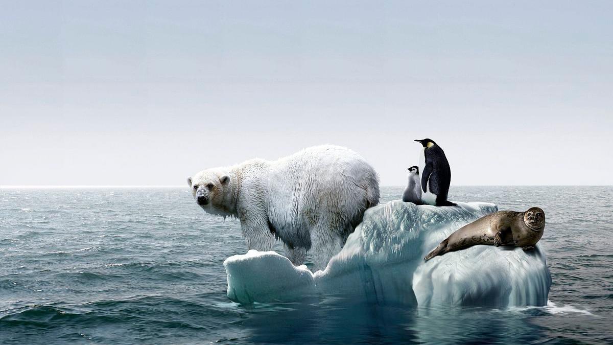 全球变暖超过1.5摄氏度,全球变暖停止地球开始降温了吗