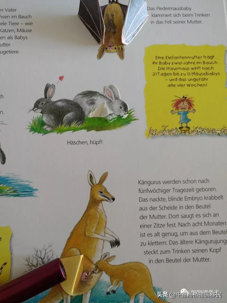 儿童性启蒙教育绘本,德国3-6岁幼儿园教育方法