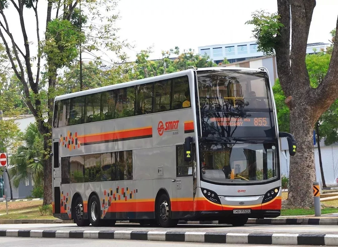 新加坡防腐措施,新加坡受哪个国家保护