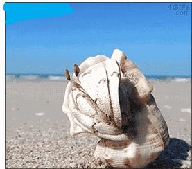 被请出去的外星人″