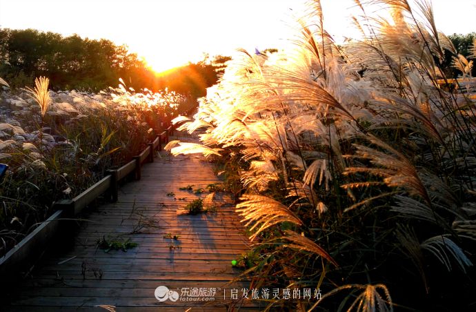 东土大唐取经路,东土大唐一条街