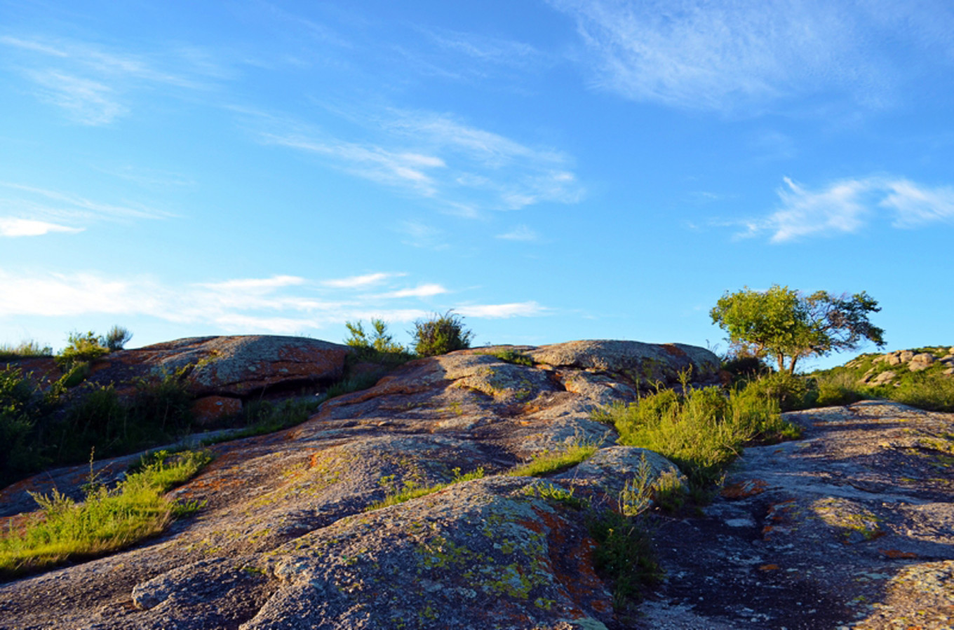 乌珠穆沁草原狼图腾,狼图腾草原魂歌曲