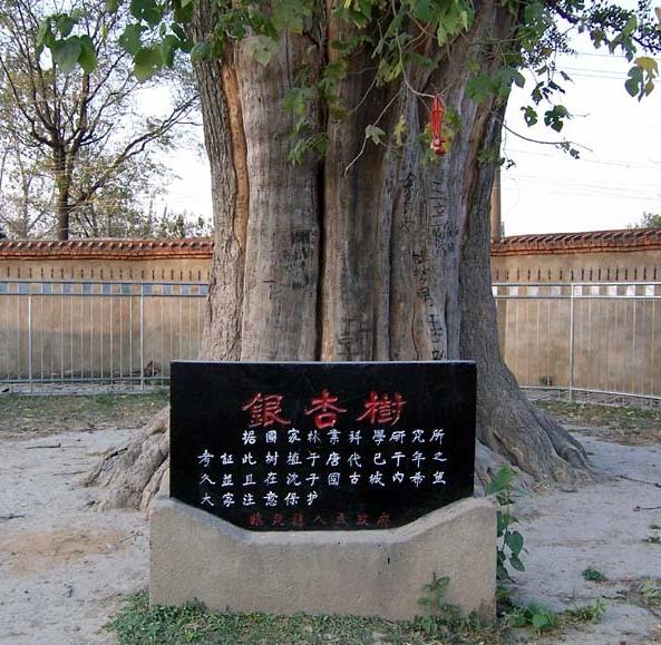 安徽省临泉县,1935年建县,人口二百余万,全国文化先进县