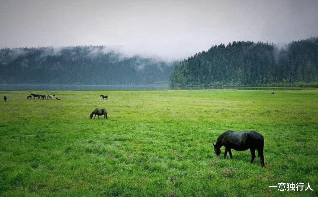 旅游行业自救之路,旅游业的惨淡期