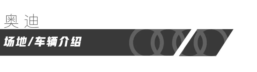 奥迪车冬季表现,奥迪车子省油性能好又实用