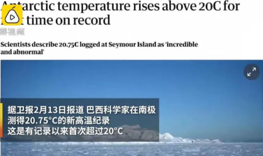 楠勯槼浼肩伀鎶楃柅,涓嶆儳瀵掑啲鎶楃柅