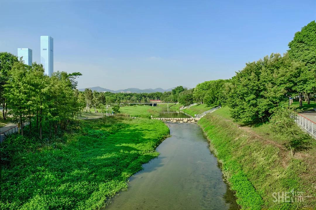 深圳这10条绿道你去过没,深圳十大绿道排行榜