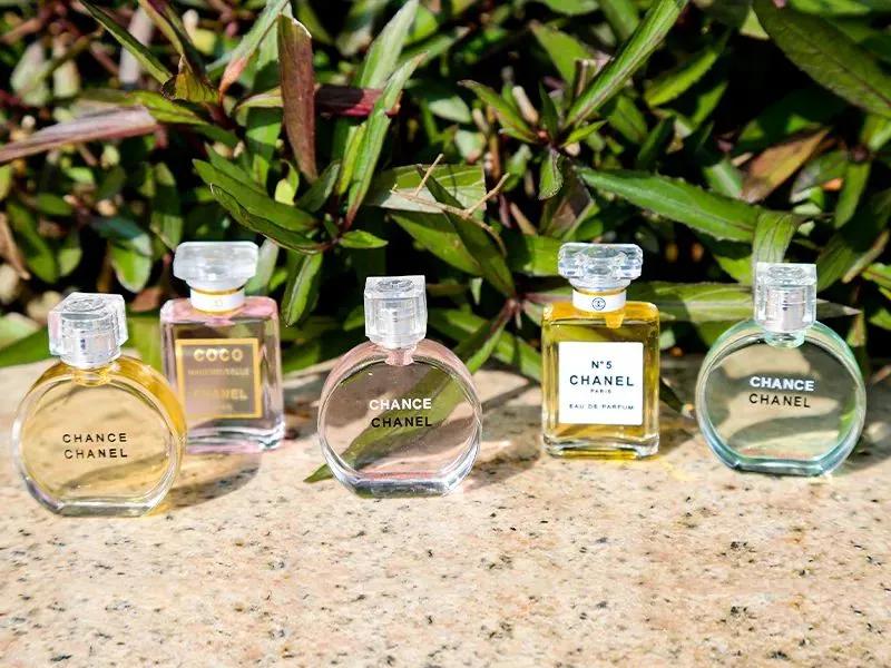 香奈儿最好的香水是哪一款,香奈儿5号香水哪种最好闻