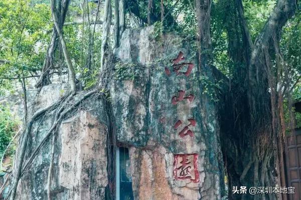 深圳最值得免费去的十大景点,深圳有哪些地方是免费景点