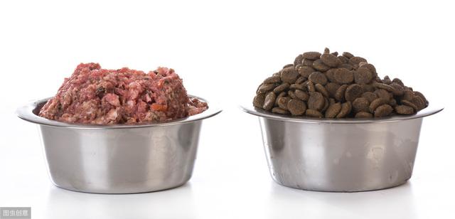 猫尿道堵塞的症状是什么,15天小猫会尿道堵塞吗